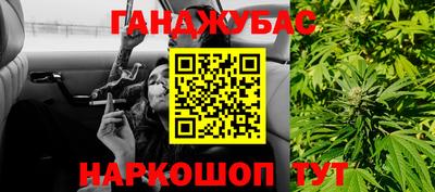 PSILOCYBIN Гатчина