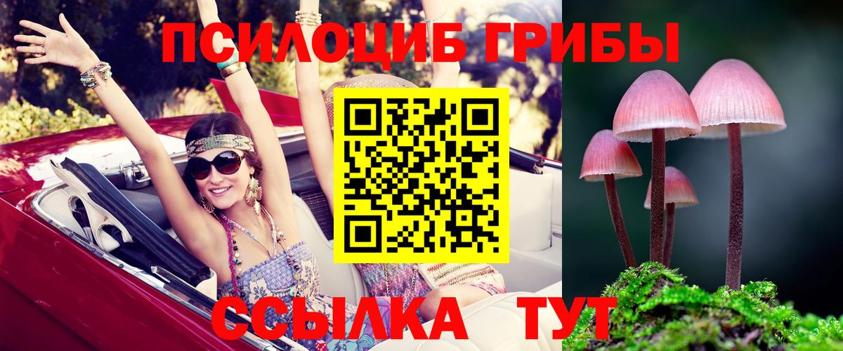 Королёв  купить   Вход с VPN  Псилоцибиновые грибы Magic Shrooms 